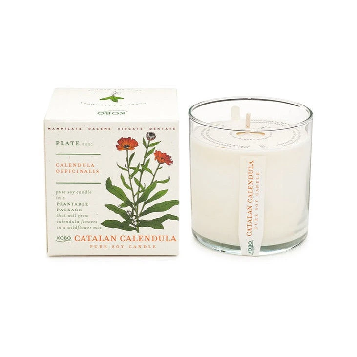 Plant Box Scented Jar Candle 5 Plant Box Scented Jar Candle - Image 3