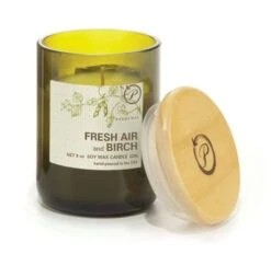 Paddywax Eco Recycled Glass Scented Jar Candle -Household Items Sale ecofreshairbirch