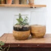 Farmhouse Terrarium -Household Items Sale farmhouse 4