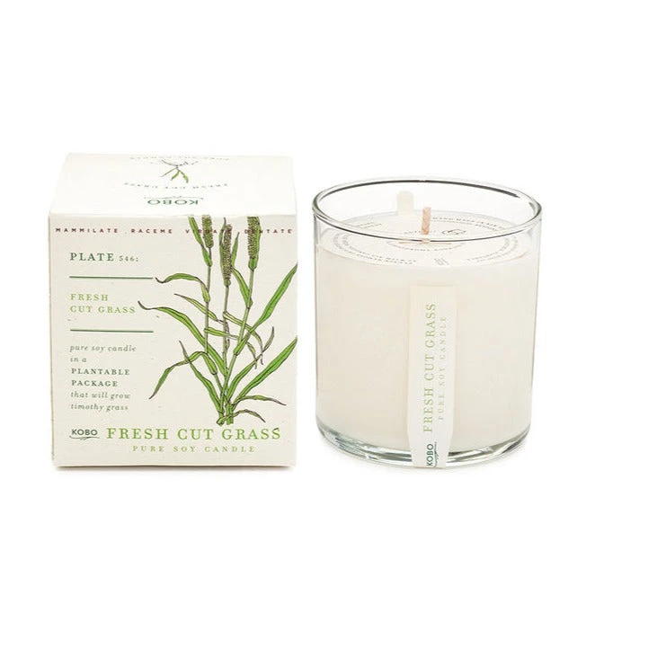 Plant Box Scented Jar Candle 6 Plant Box Scented Jar Candle - Image 4