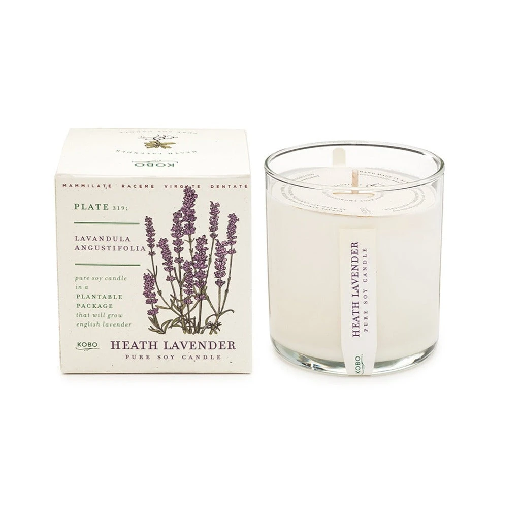Plant Box Scented Jar Candle 4 Plant Box Scented Jar Candle - Image 2