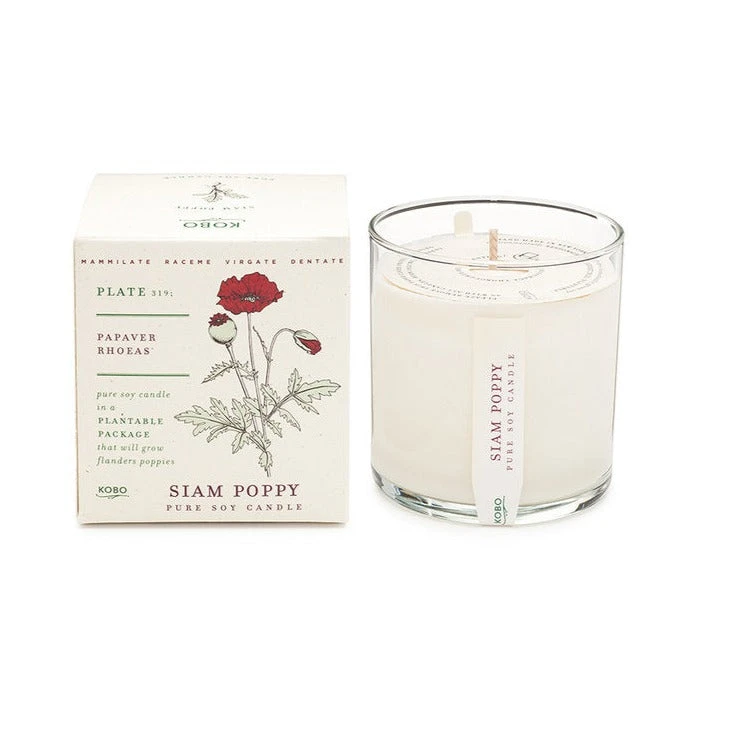 Plant Box Scented Jar Candle 7 Plant Box Scented Jar Candle - Image 5