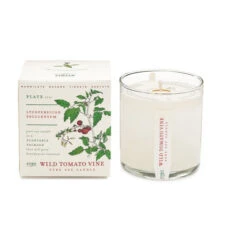 Plant Box Scented Jar Candle 16 Plant Box Scented Jar Candle -Household Items Sale tomab