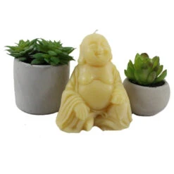 Beeswax Sitting Buddha Candle -Household Items Sale uddha candle with succulent